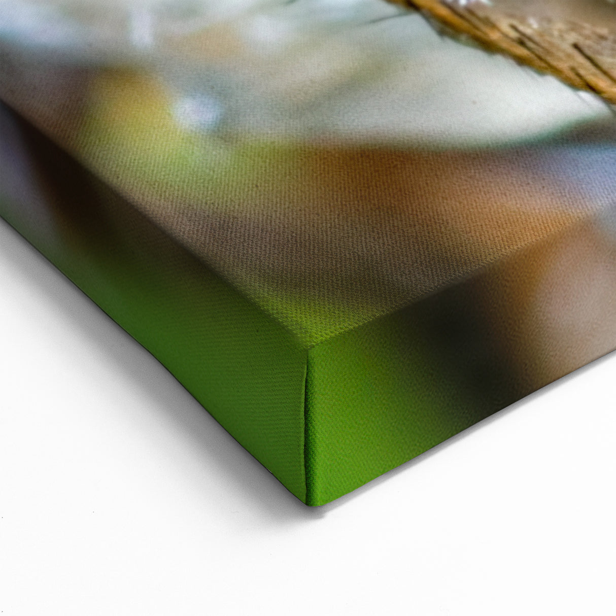 Macro Insect Eyes Close-Up - Vivid Animal Wall Art for Nature Lovers