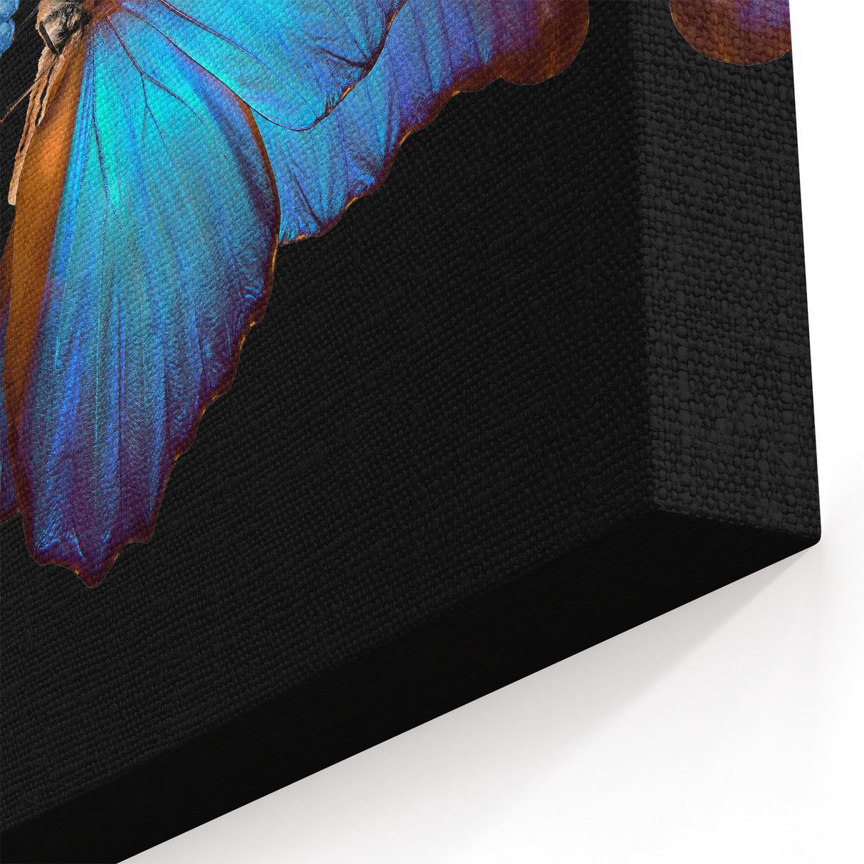 Blue Butterfly and Flowers - Stunning Animal Wall Art & Nature Collection