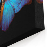 Blue Butterfly and Flowers - Stunning Animal Wall Art & Nature Collection