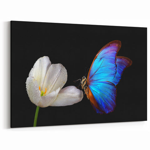 Blue Butterfly and White Flower - Stunning Nature-Inspired Animal Wall Art