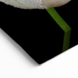 Blue Butterfly and White Flower - Stunning Nature-Inspired Animal Wall Art