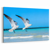 Seagulls Over Yucatan Beach - Mexico Yucatan Wall Art Print