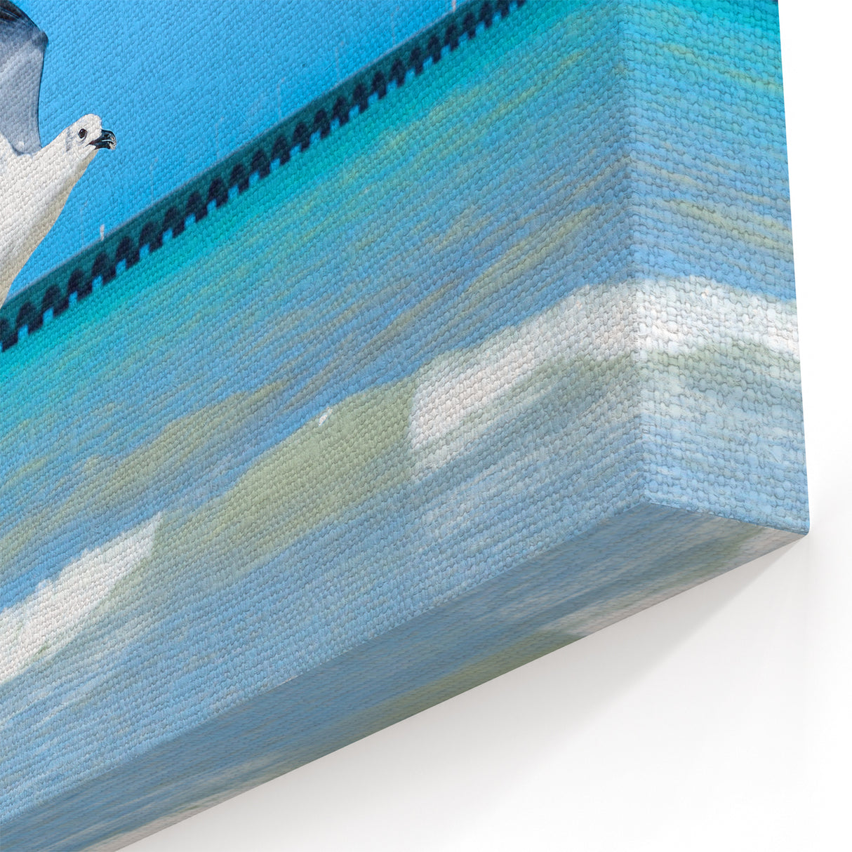 Seagulls Over Yucatan Beach - Mexico Yucatan Wall Art Print