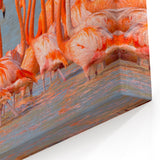 Vibrant Flamingos in Yucatan Lagoon - Mexico Yucatan Wall Art Print