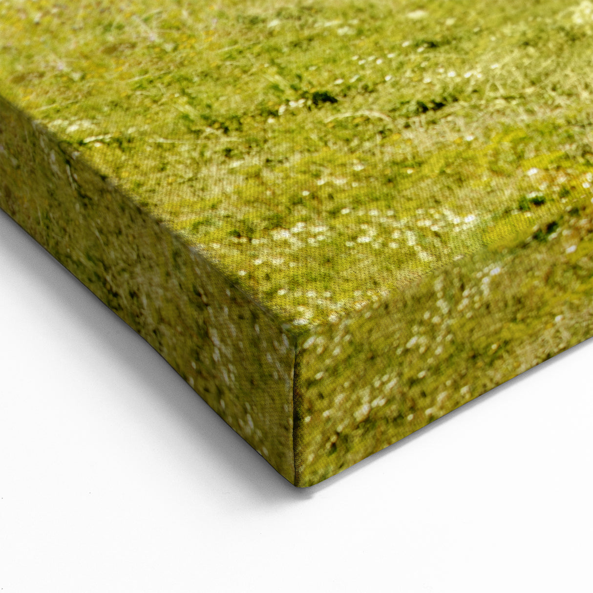 Albania Wall Art - Historic Church of Berat Overlooking The Valley