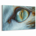Nature Close-Up Animal Eye Wall Art – Stunning Wildlife Photography Prints