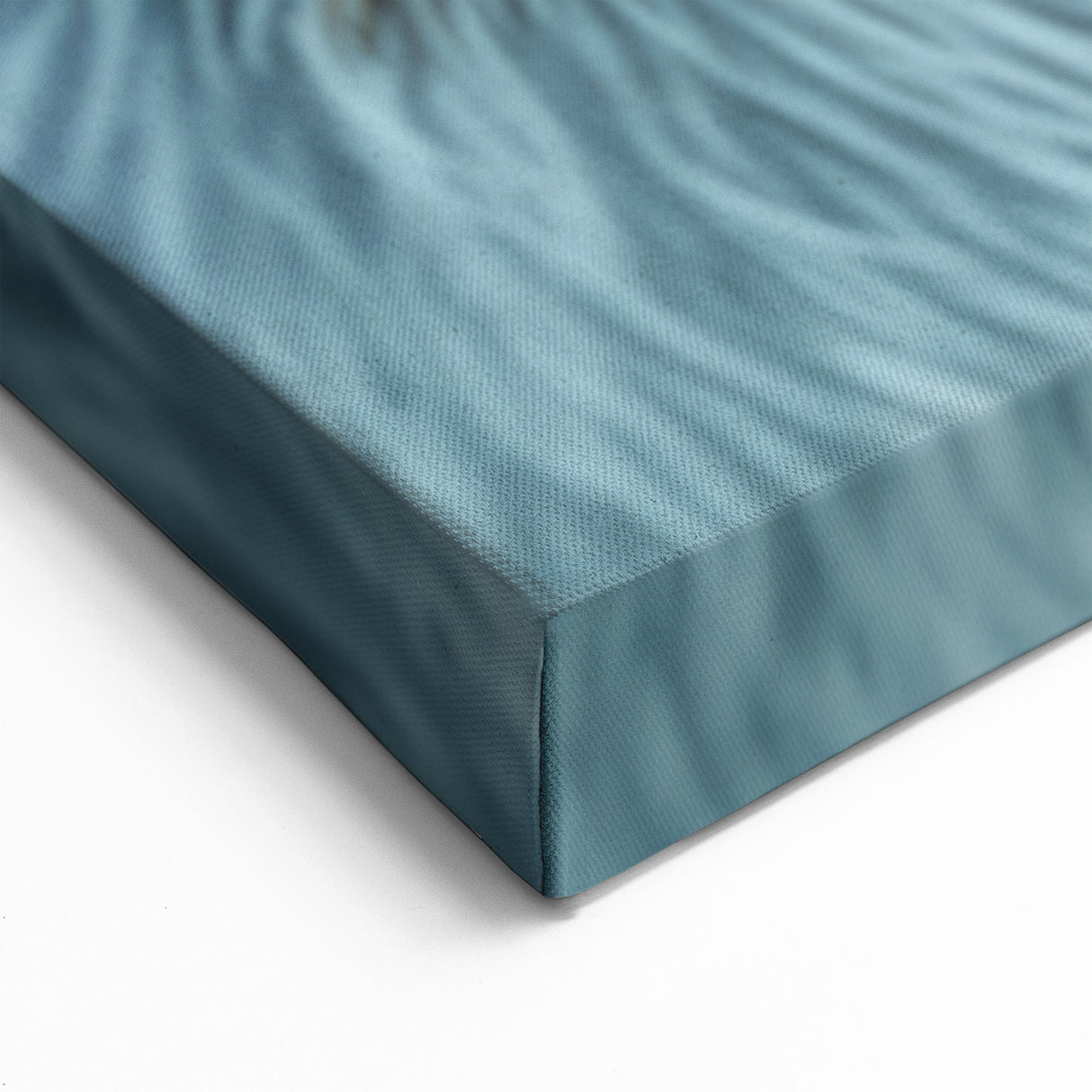 Nature Close-Up Animal Eye Wall Art – Stunning Wildlife Photography Prints