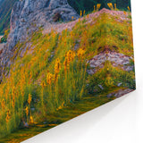 Albania Photography Art - Sunset Over Mountain River