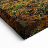 Scenic Albania Art - Olive Grove Photography Canvas Decor