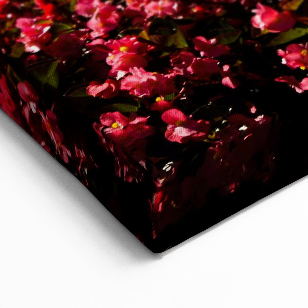 Austria Photography Art - Majestic Palace with Vibrant Garden Scene