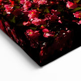 Austria Photography Art - Majestic Palace with Vibrant Garden Scene