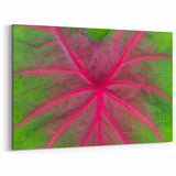 Yucatan Canvas Art - Vibrant Pink and Green Leaf Macro Nature Photography