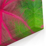 Yucatan Canvas Art - Vibrant Pink and Green Leaf Macro Nature Photography