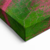 Yucatan Canvas Art - Vibrant Pink and Green Leaf Macro Nature Photography