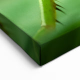 Green Insect Macro Photography – Nature Close-Up Animal Canvas Prints