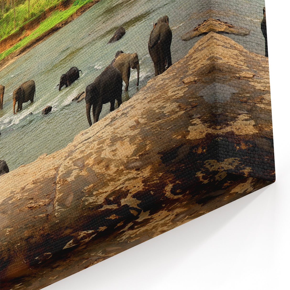 Scenic Sri Lanka Wall Art – Majestic Elephants at Riverbank Landscape