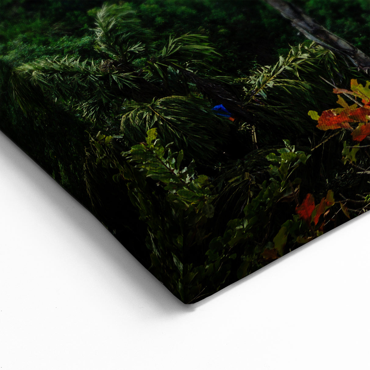 Sri Lanka Landscape Art - Blue Train Crossing Nine Arches Bridge