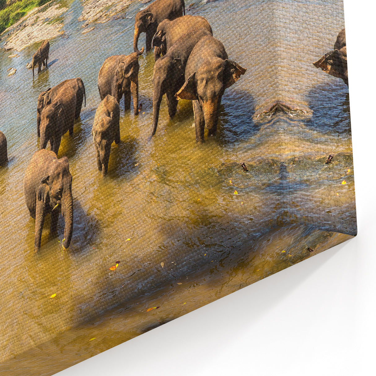Sri Lanka Landscape Art - Elephants Bathing in River Scenic Canvas Print