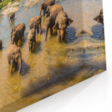 Sri Lanka Landscape Art - Elephants Bathing in River Scenic Canvas Print