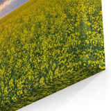 Sunset Over Canola Fields – Scenic Saskatchewan Landscape Wall Art
