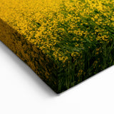 Silos and Canola Fields – Scenic Saskatchewan Agricultural Wall Art