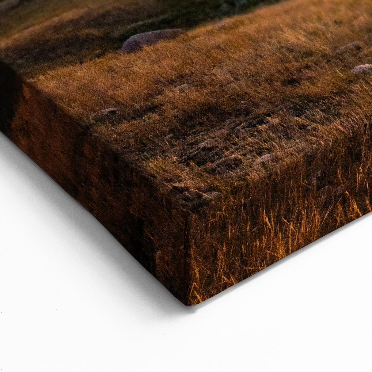 Sunrise Over Rolling Hills – Scenic Saskatchewan Landscape Wall Art