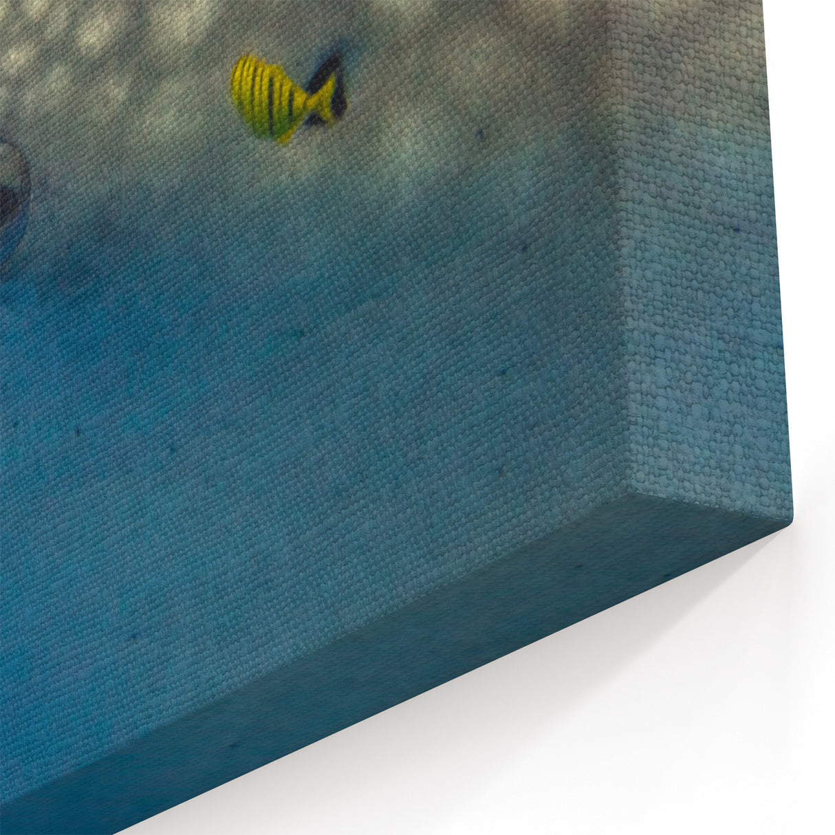 Sri Lanka Photography Prints - Whale Shark Underwater Close-Up Canvas