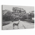 Black and White Sri Lanka Art - Dog and Sigiriya Rock Canvas Print