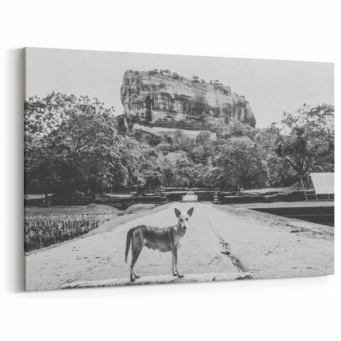 Black and White Sri Lanka Art - Dog and Sigiriya Rock Canvas Print
