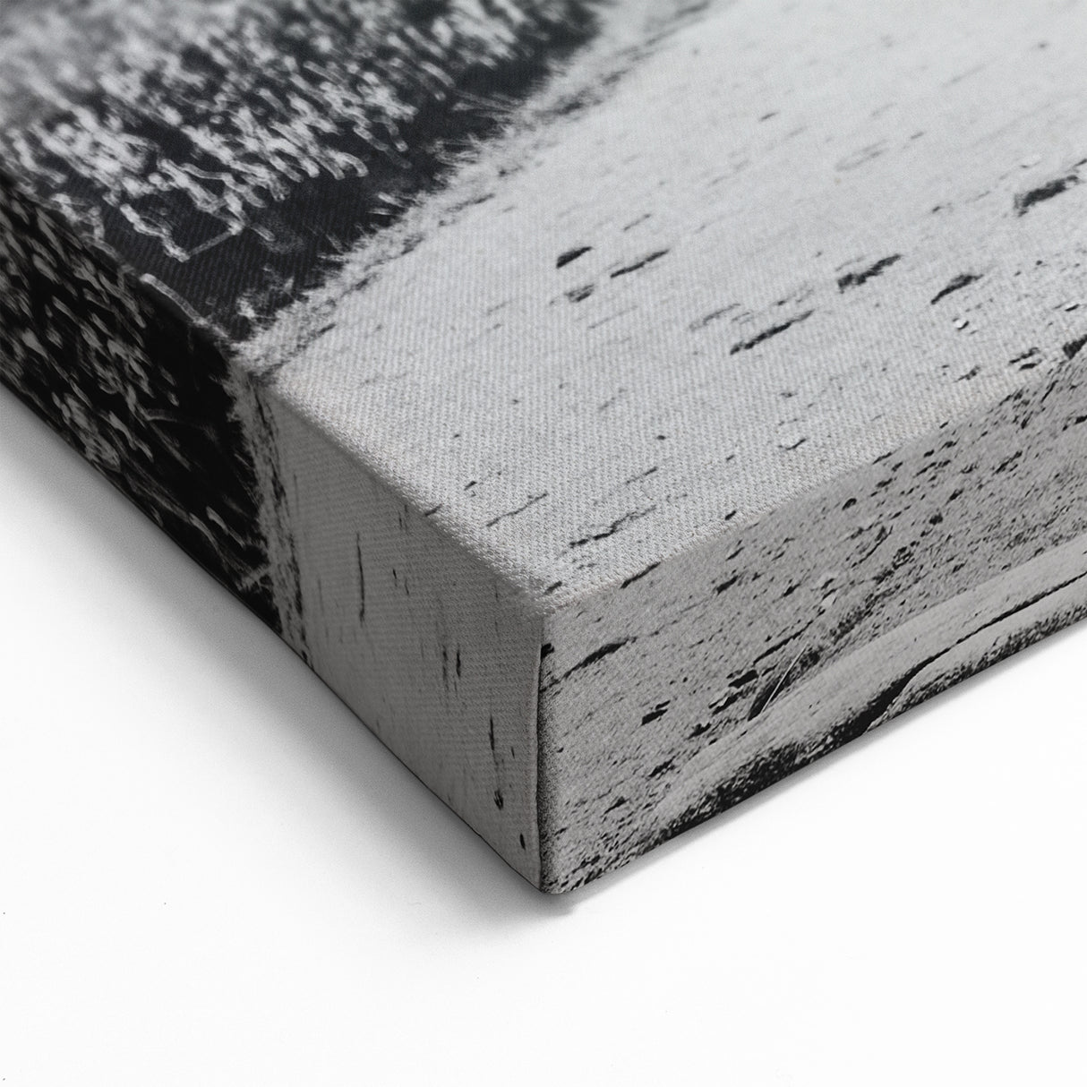 Black and White Sri Lanka Art - Dog and Sigiriya Rock Canvas Print