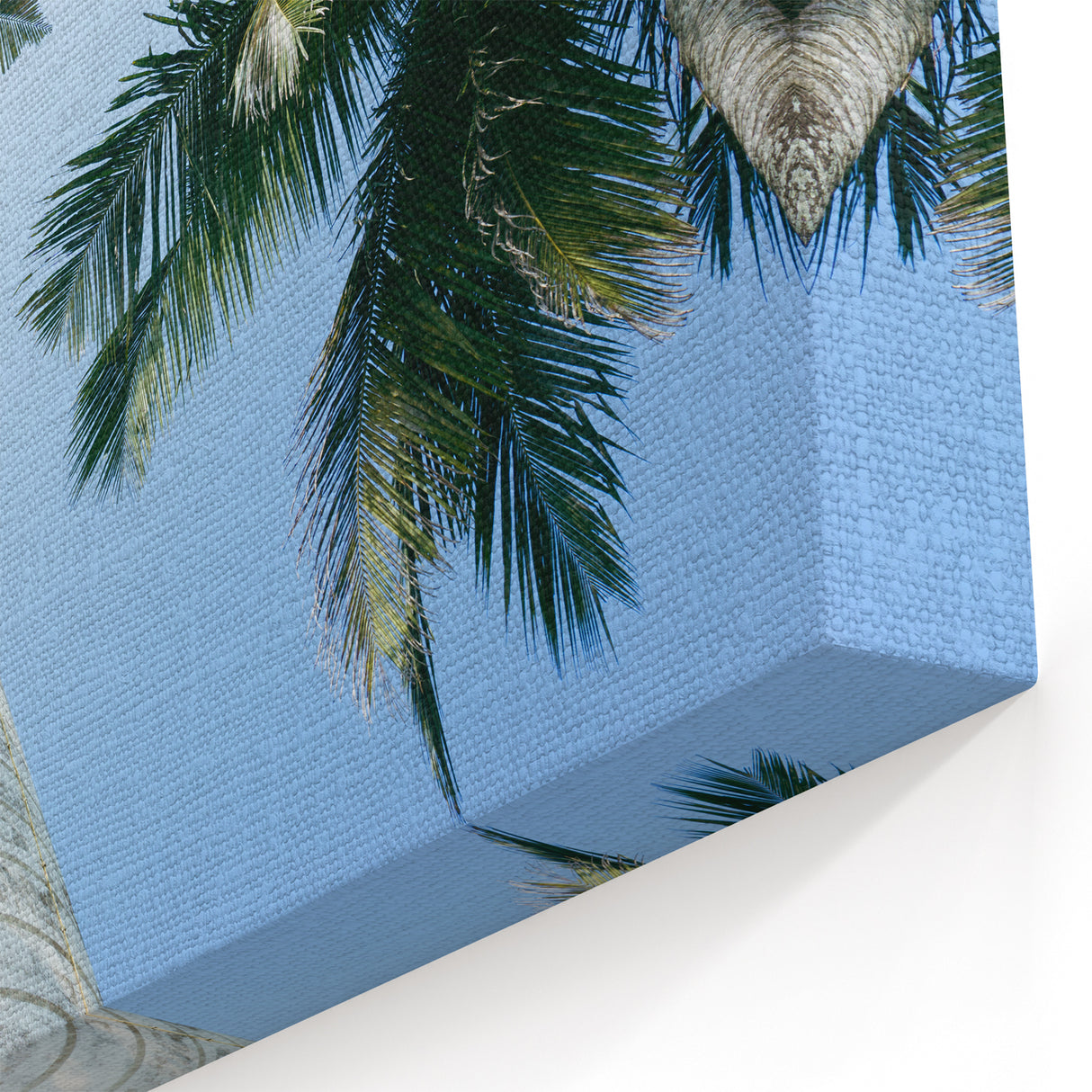 Sri Lanka Artworks - Lighthouse and Palm Trees Under Blue Sky Canvas Print