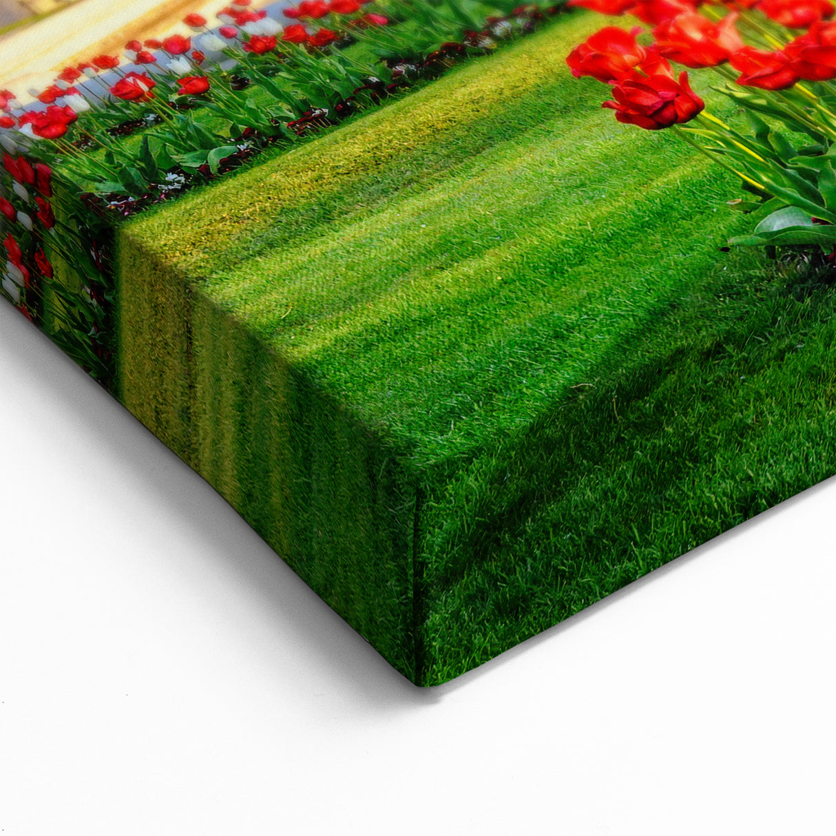 Vienna Wall Decor – Elegant Belvedere Palace with Blooming Tulip Garden