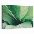 Leaf Wall Art: Nature-Inspired Close-Up Botanical Leaf Canvas Prints