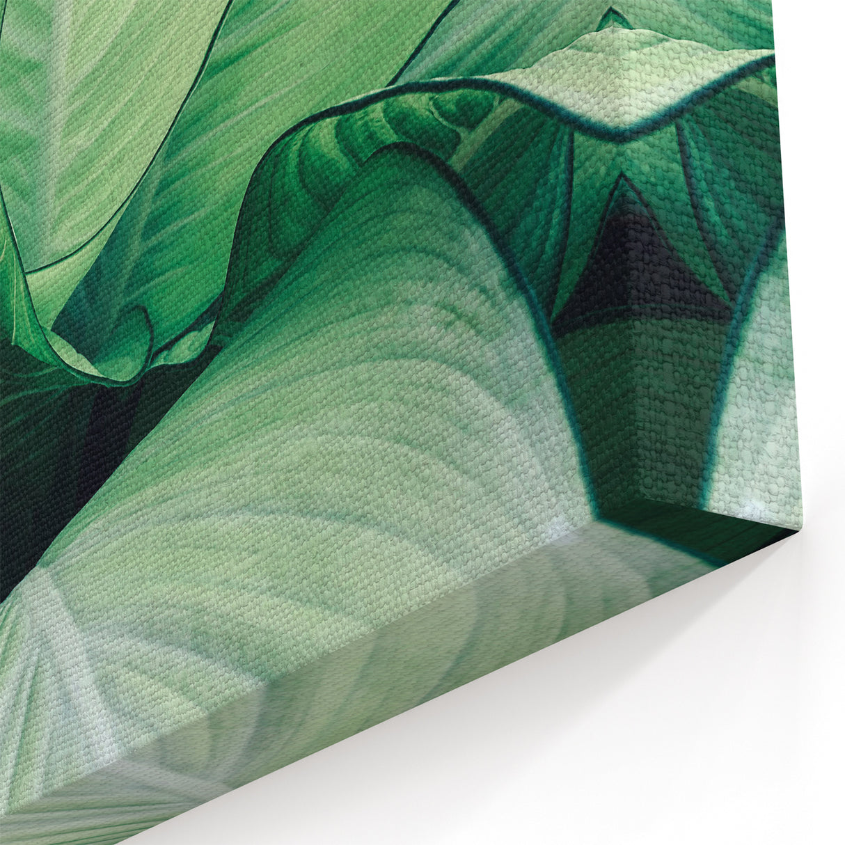 Leaf Wall Art: Nature-Inspired Close-Up Botanical Leaf Canvas Prints