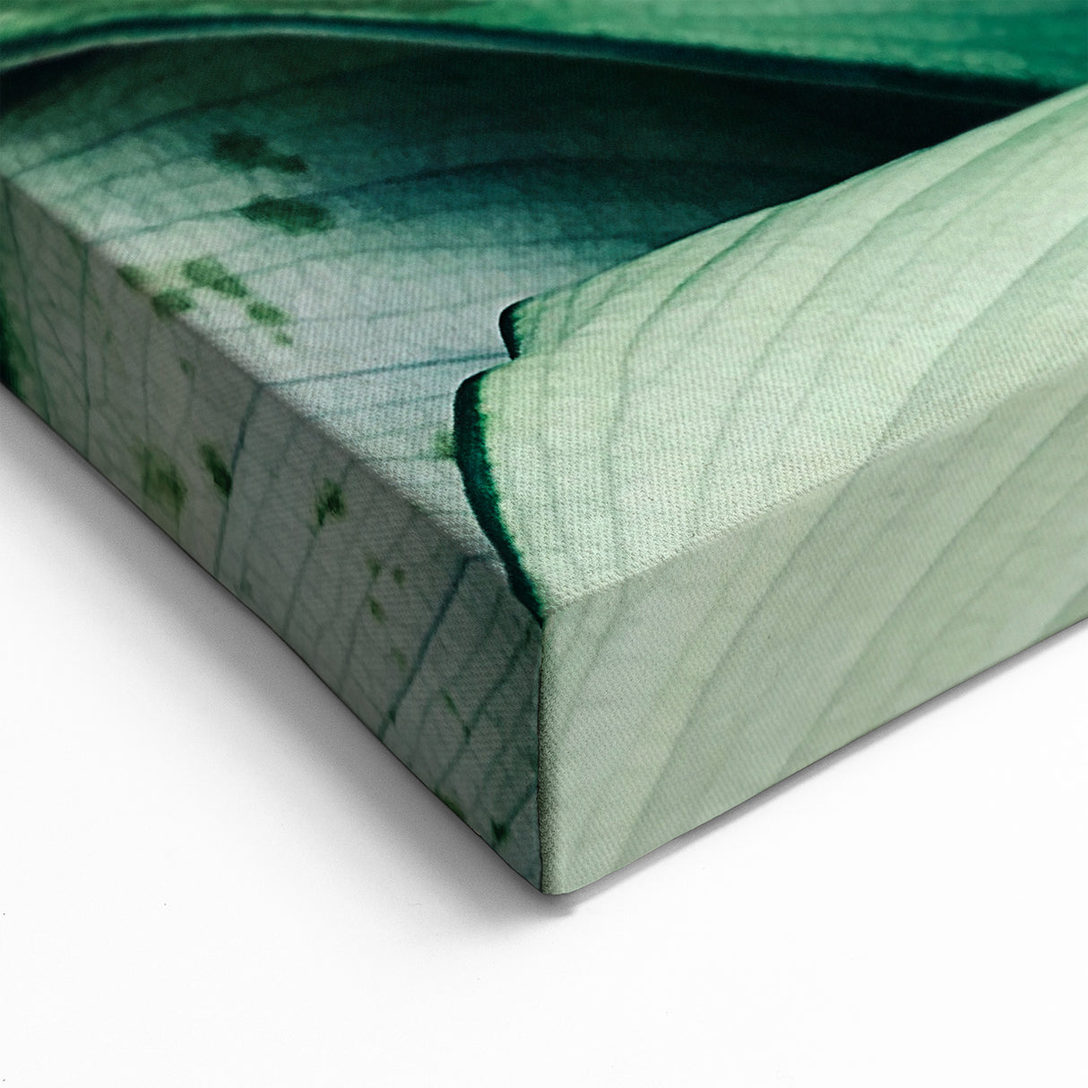 Leaf Wall Art: Nature-Inspired Close-Up Botanical Leaf Canvas Prints