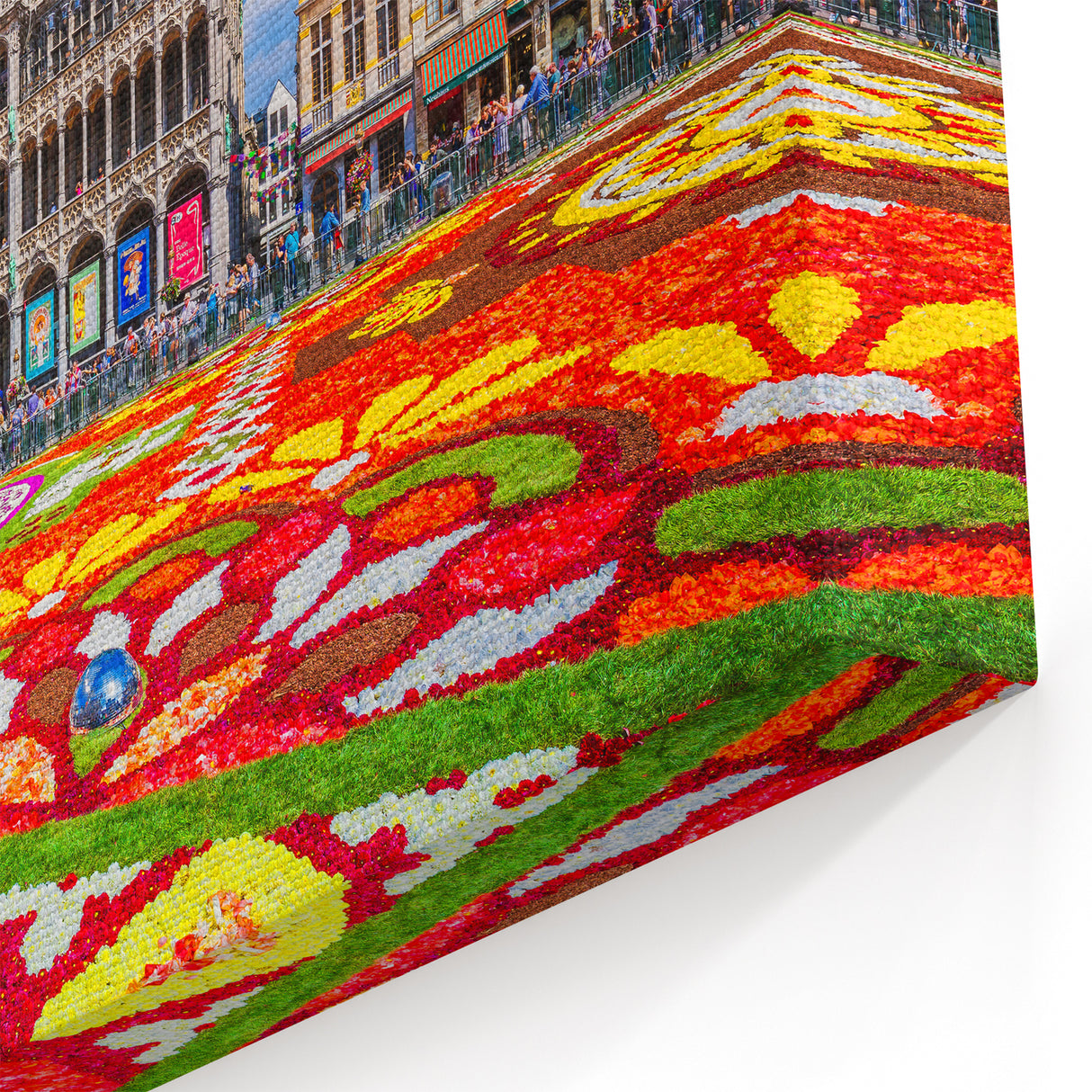 Belgium Canvas Art – Grand Place Flower Carpet in Brussels