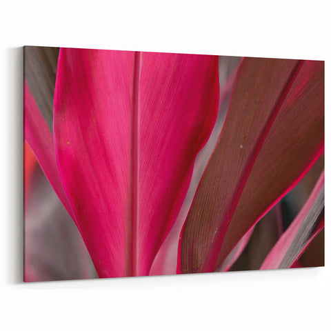 Botanical Leaf Wall Art: Vibrant Pink and Brown Leaf Canvas Prints