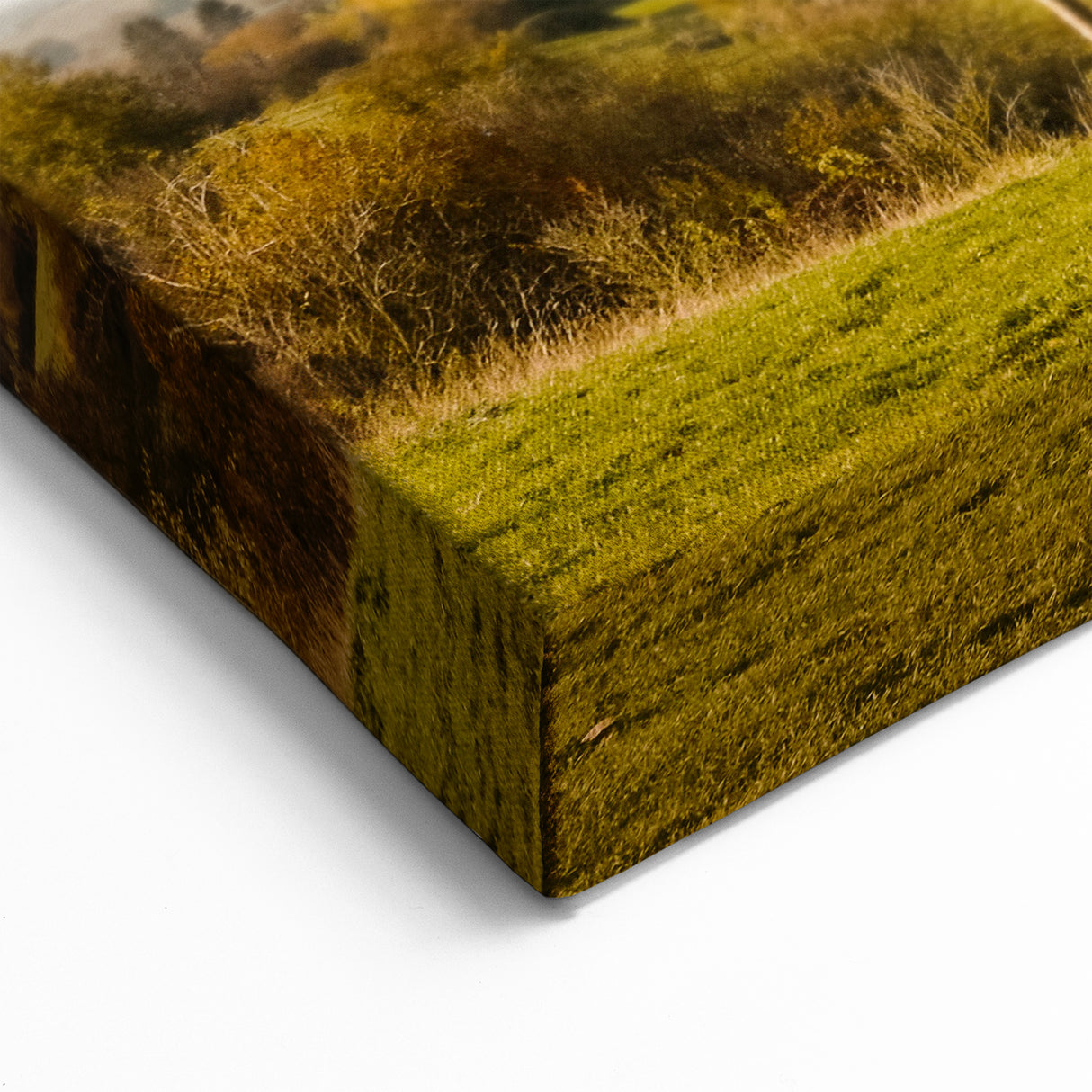 Belgian Landscape Photography – Reading Between the Lines Art Installation