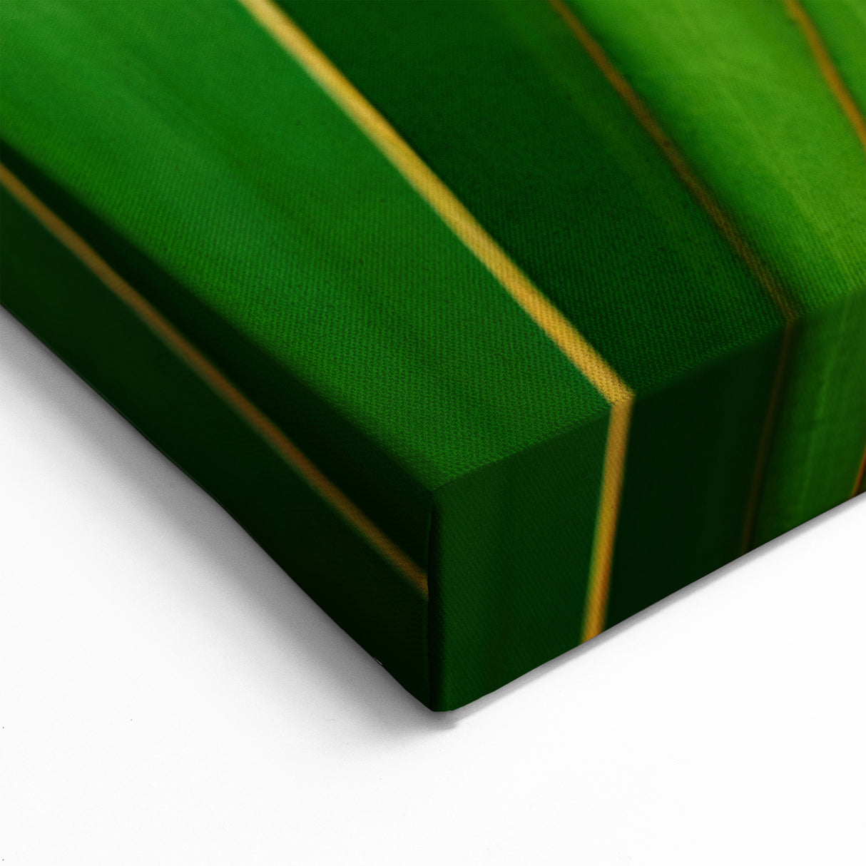 Green Leaf Wall Art: Nature-Inspired Botanical Leaf Canvas Prints