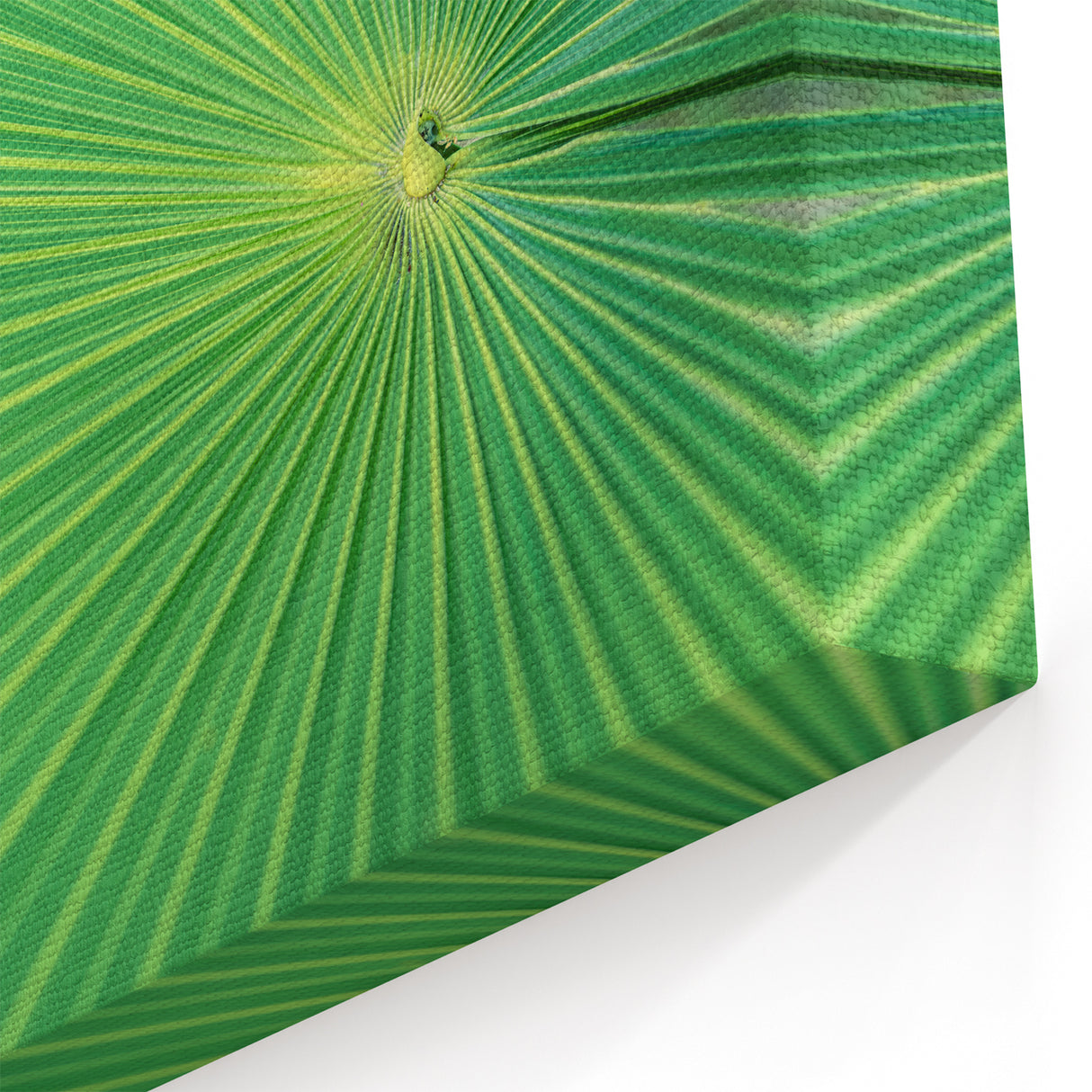 Green Leaf Wall Art: Radiant Botanical Leaf Canvas Print for Home Decor
