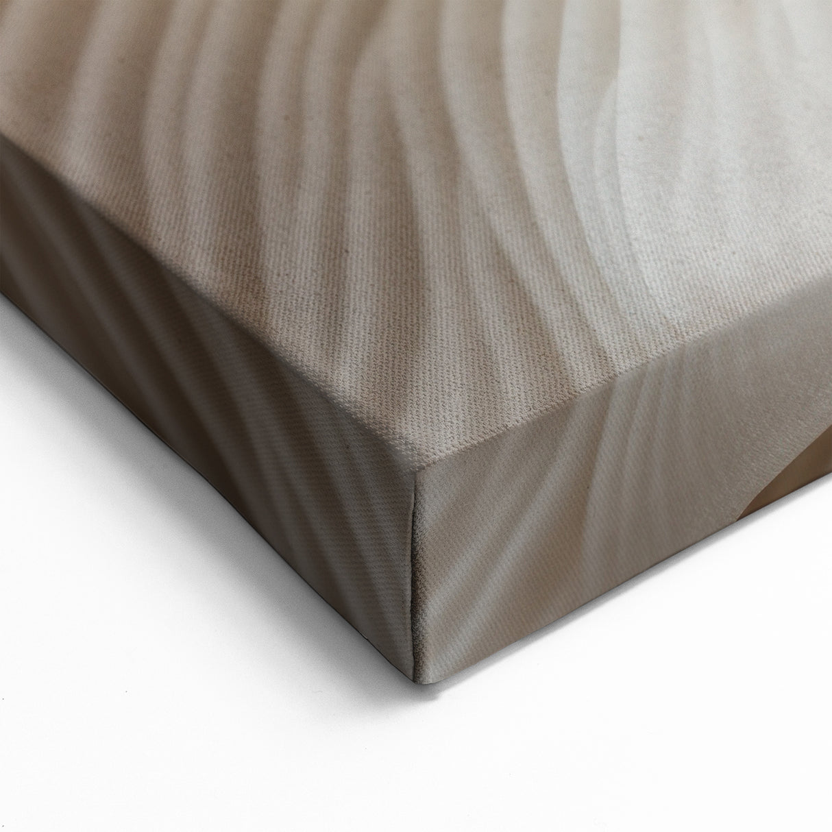 Elegant Cream Leaf Wall Art: Botanical Close-Up Canvas Prints