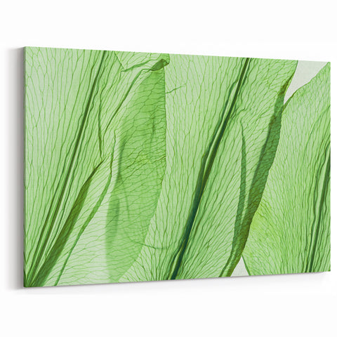 Translucent Green Leaf Wall Art: Botanical Nature-Inspired Canvas Prints