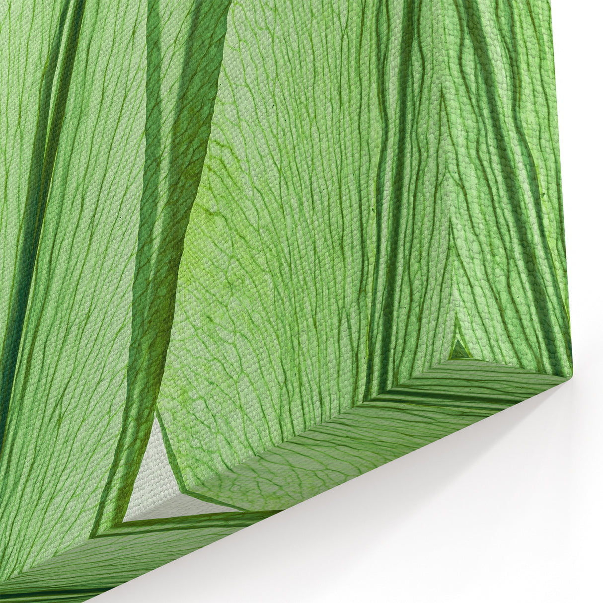 Translucent Green Leaf Wall Art: Botanical Nature-Inspired Canvas Prints
