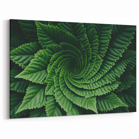 Spiral Green Leaf Wall Art: Intricate Botanical Canvas Prints"