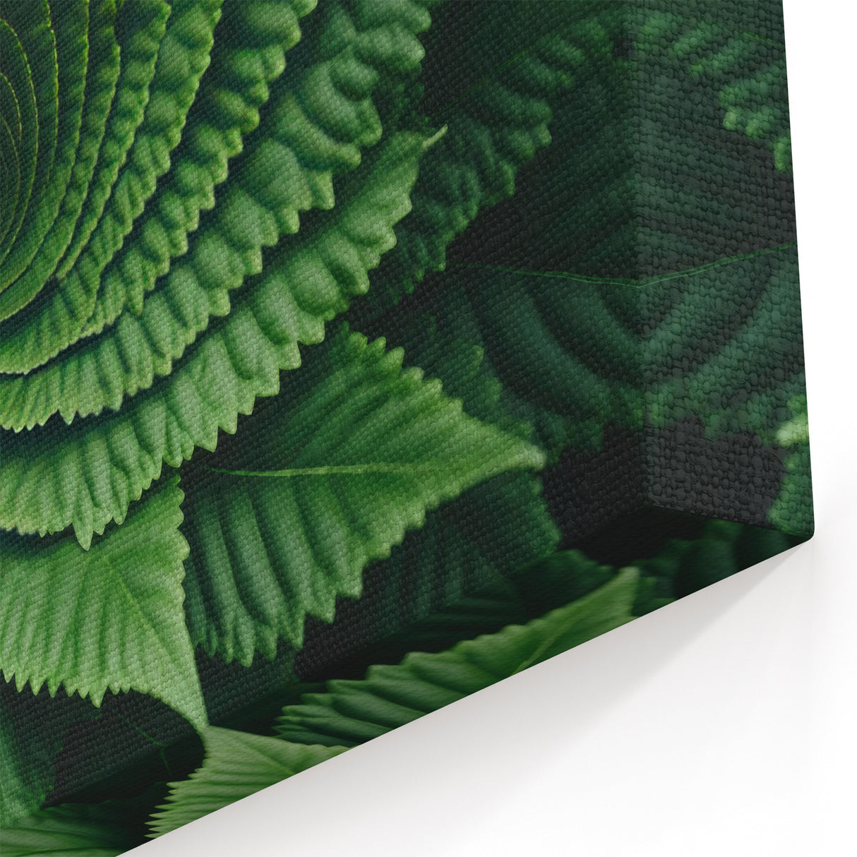 Spiral Green Leaf Wall Art: Intricate Botanical Canvas Prints"