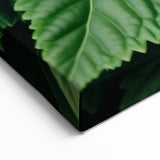 Spiral Green Leaf Wall Art: Intricate Botanical Canvas Prints"