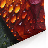 Raindrop Green and Red Leaf Wall Art: Vibrant Nature-Inspired Canvas Print