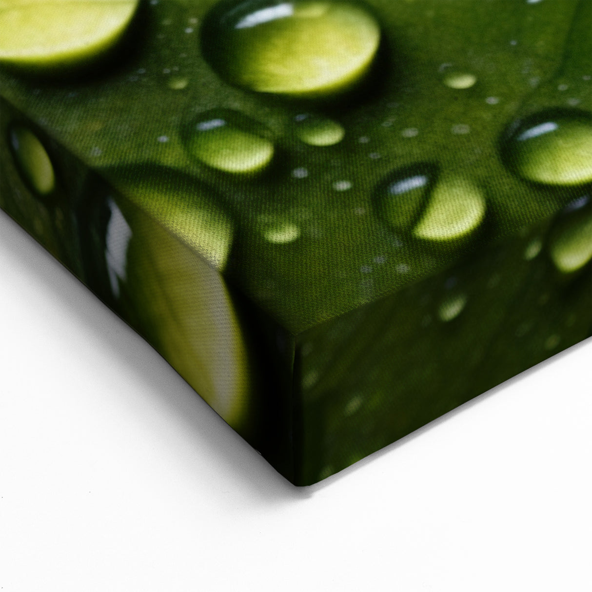 Raindrop Green and Red Leaf Wall Art: Vibrant Nature-Inspired Canvas Print