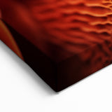 Abstract Multicolor Wall Art: Vibrant Nature-Inspired Canvas Prints