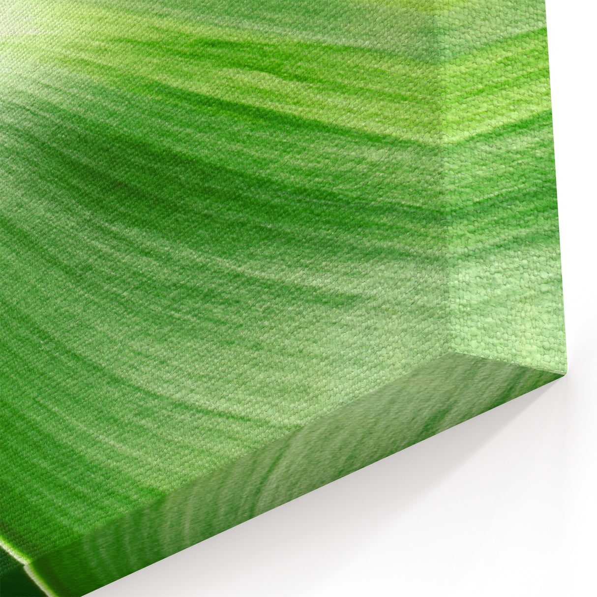 Vibrant Dew-Covered Green Leaf Wall Art: Botanical Canvas Prints